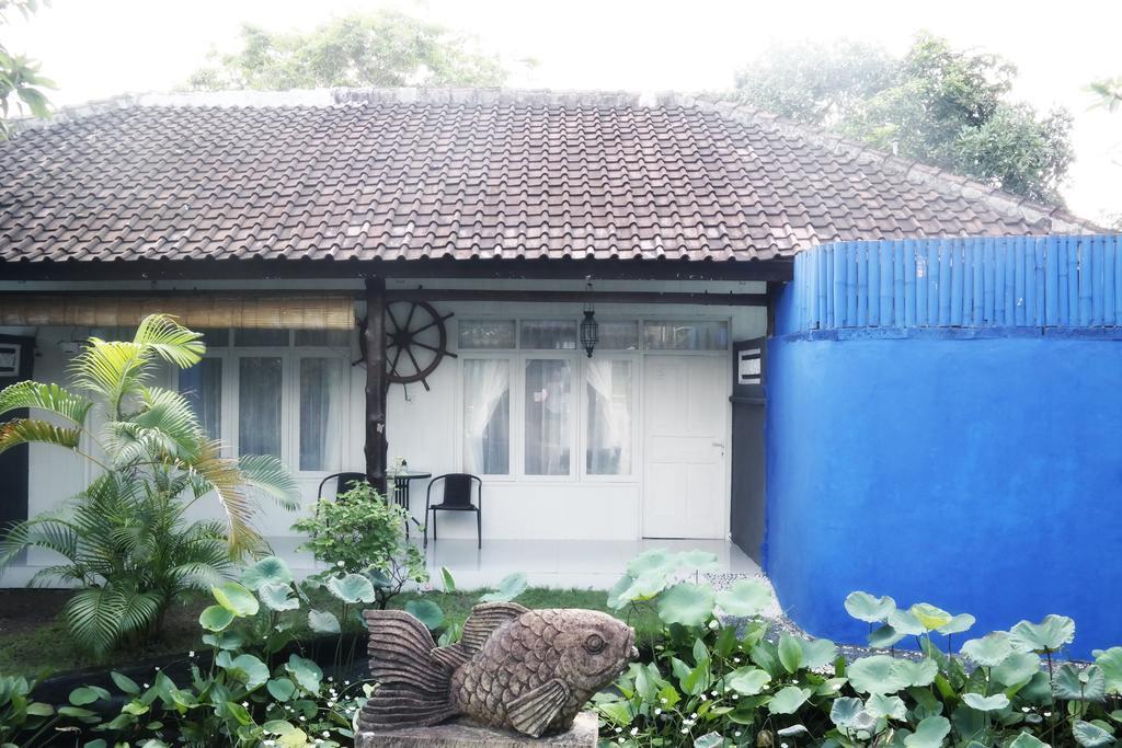מלון קנגו Tehila House מראה חיצוני תמונה